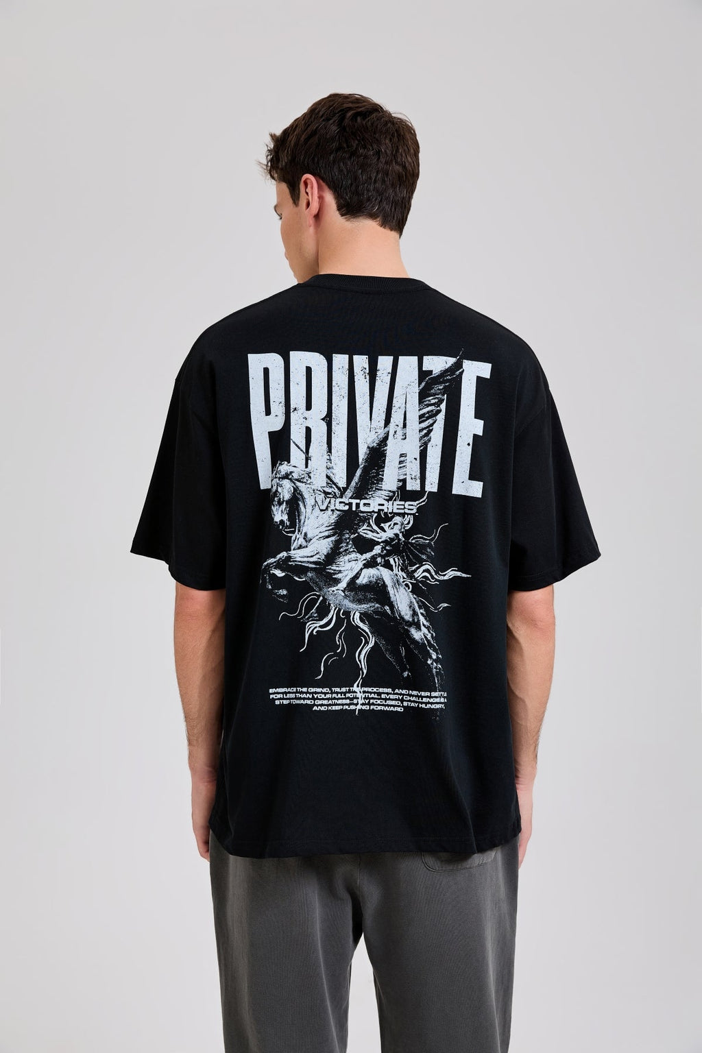 Olympus Flight T-Shirt